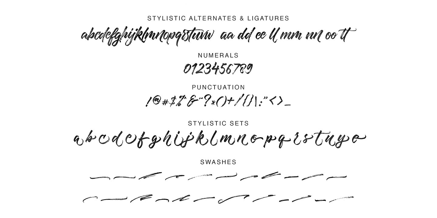 Example font Twilight Script #4